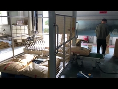 स्वचालित फ़्लैटनिंग और पैलेटाइज़िंग मशीन, निम्न स्तर का पैलेटाइज़र